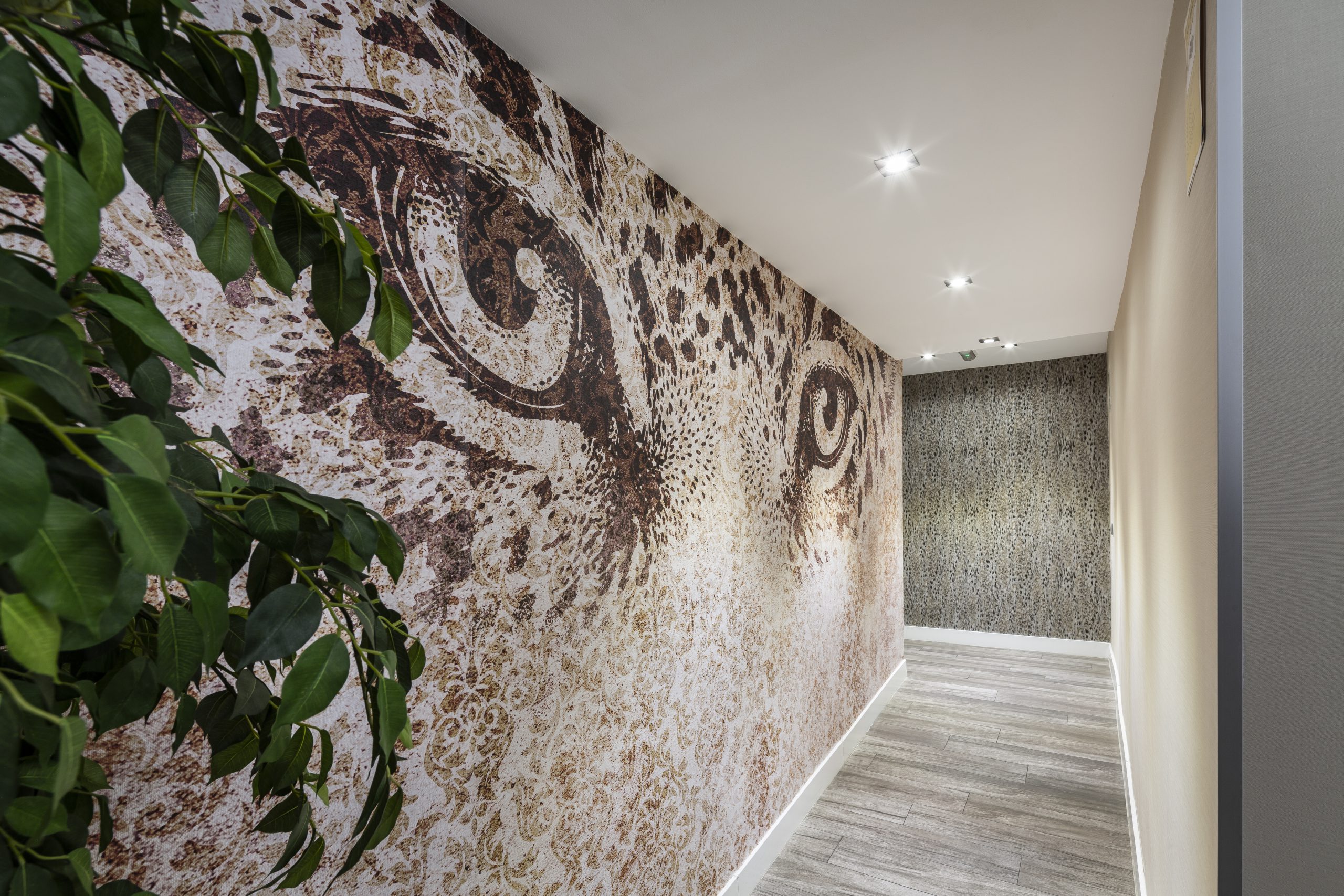 Apartametos Cava Baja